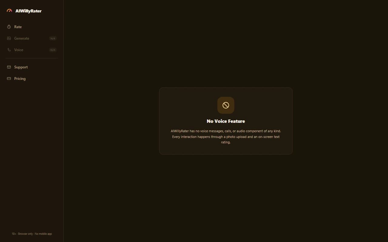 AIWillyRater voice screen showing that no voice messages or calling feature exists on the platform