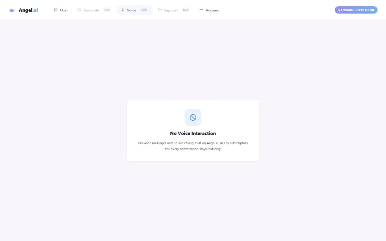 Angel.ai interface confirming no voice interaction feature