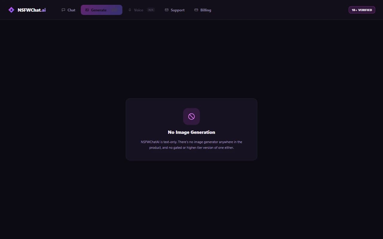 NSFWChatAI interface confirming no image generation feature exists